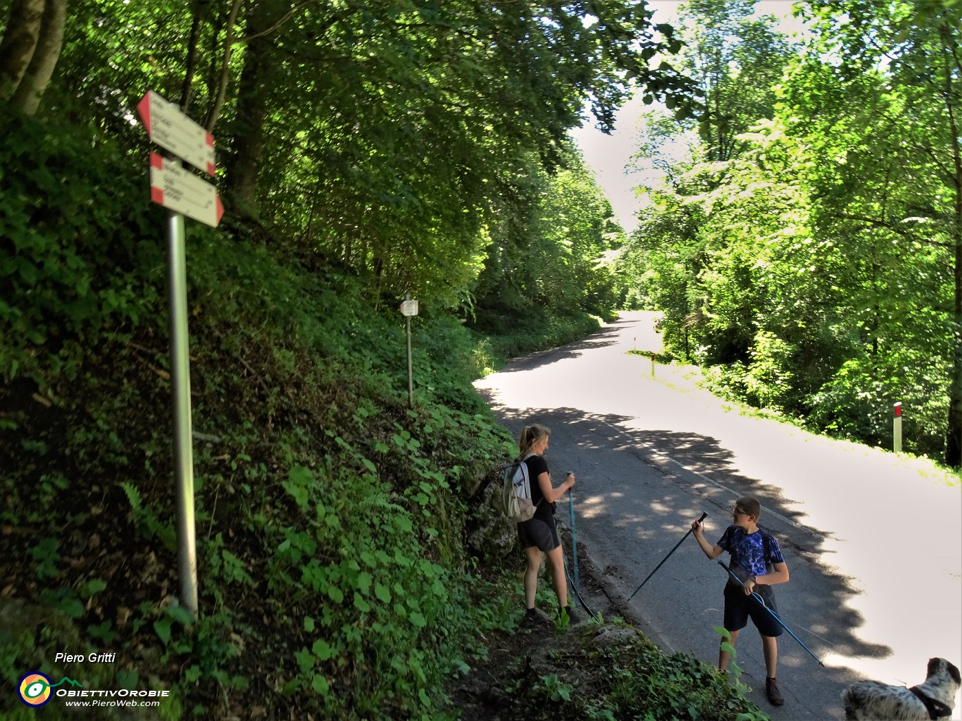 76 Arrivo del sent. 519 B sulla strada Forcella del Suchello-Tagliata-Cornalba.JPG